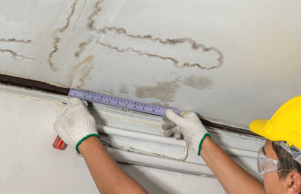 Reliable Water Damage contractor in Brighton, MI by Water Damage Irwin